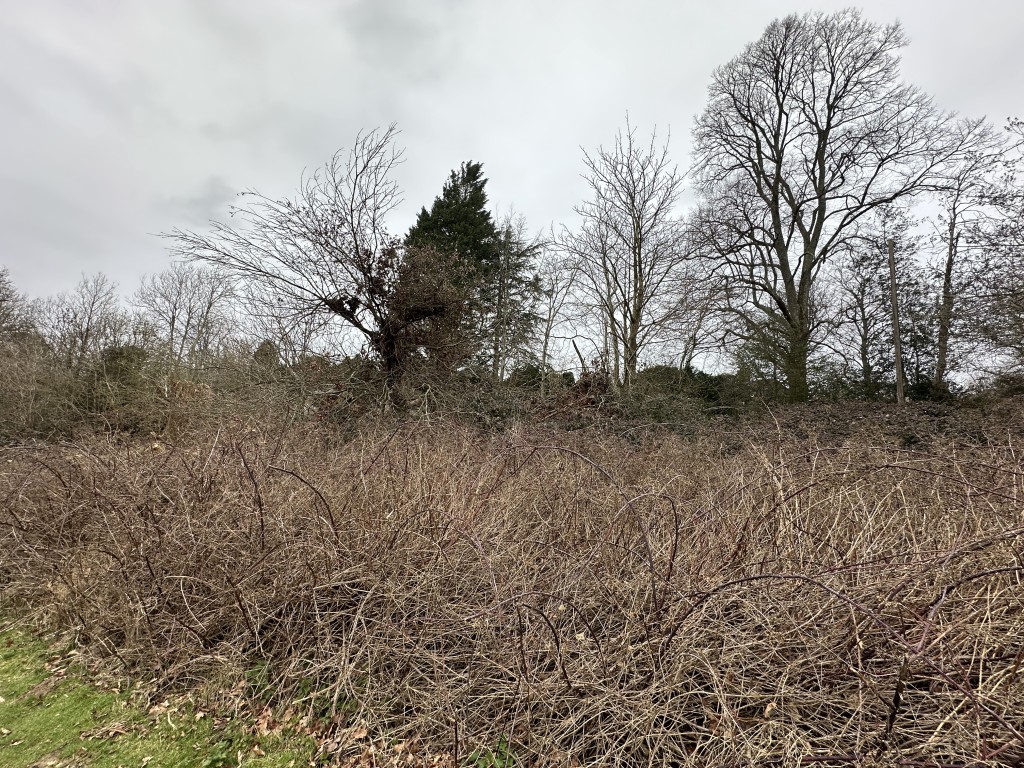 Lot: 74 - 0.29 ACRES OF FREEHOLD BROWNFIELD LAND IN A VILLAGE SETTING - Freehold Site